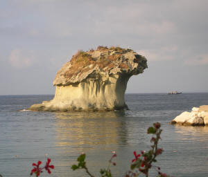 Insel Ischia. Pilz in Lacco Ameno