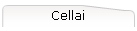 Cellai